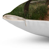 Walk where the views are amazing! Mountain Throw Pillow