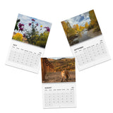 STEAMBOAT-2026 Scenic Wall Calendar