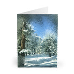 Look outside! Winter Wonderland Greeting Cards (5 Pack)