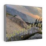 Stay in line! Canvas Gallery Wraps