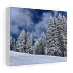 Snow Days! Canvas Gallery Wraps