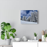 Snow Days! Canvas Gallery Wraps