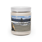 Foxy! Aromatherapy Candles, 9oz