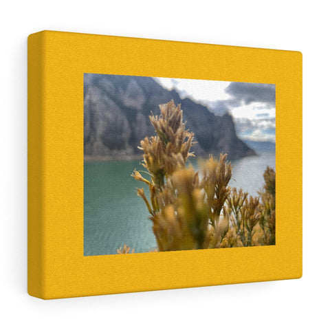 Wildflower View.  Canvas Gallery Wraps