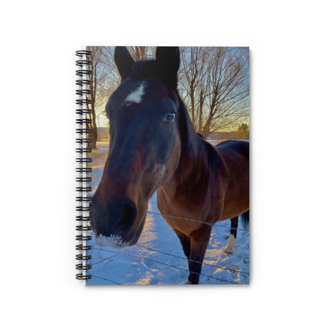 Horse=Happy!!  Journal