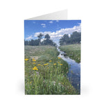 Top of the mountain! Amazing Nature Greeting Cards (5 Pack)