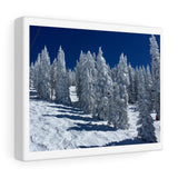 Winter Wonderland! Canvas Gallery Wraps