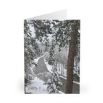 A beautiful drive! Winter Drive Greeting Cards (5 Pack)